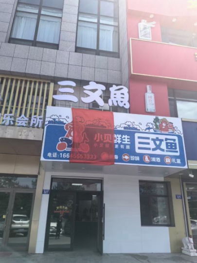 三文鱼